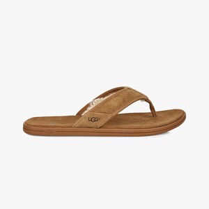 Ugg Seaside Tasmania Men Slippers Brown (8720RXNIS)